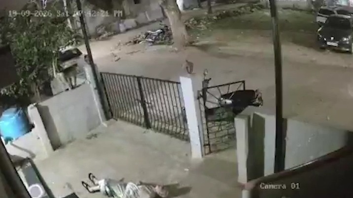 The CCTV footage, which captured the sequence of events, circulated widely on social media. Monkey vs woman