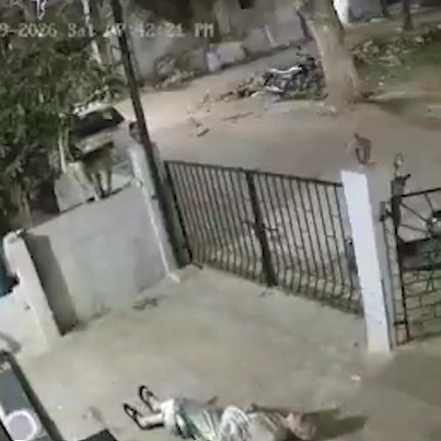 Monkey jumps at 91-year-old woman and knocks her down, attack caught on CCTV