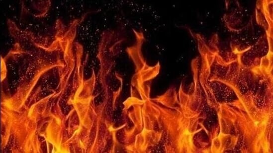 Woman travelling in e-rickshaw sets herself on fire after lover cuts contact; dies