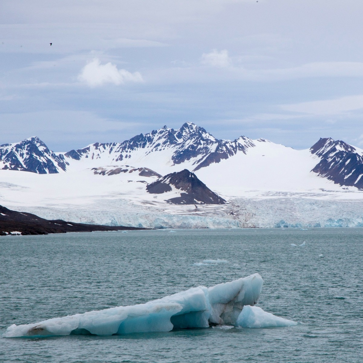 Nasa satellites capture Arctic sea ice shrinking as Earth's white crown melts