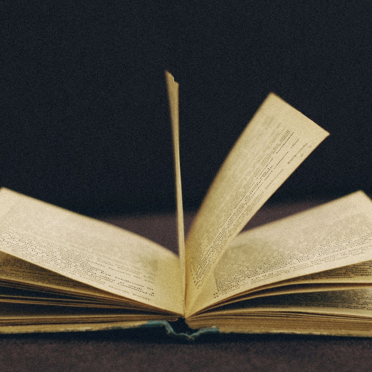 NCERT warns against fake Class 9 social science textbook circulating online