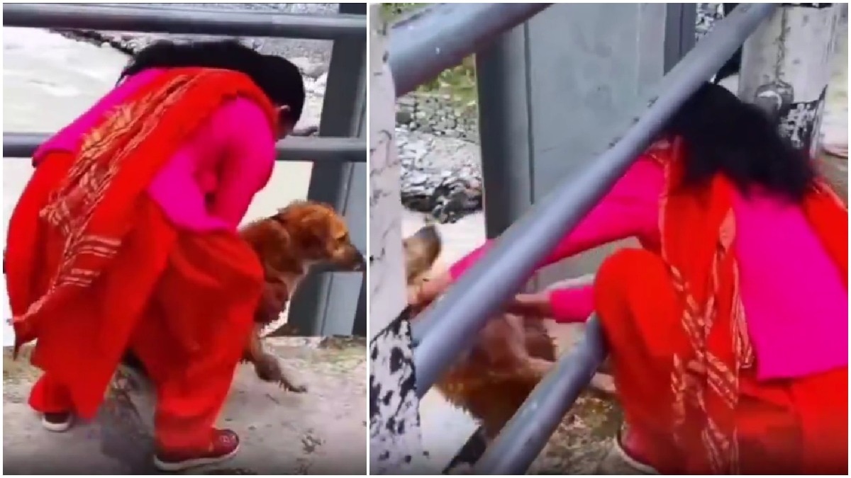 Nepal woman pushes dog off bridge as it resists, heartbreaking video sparks outrage