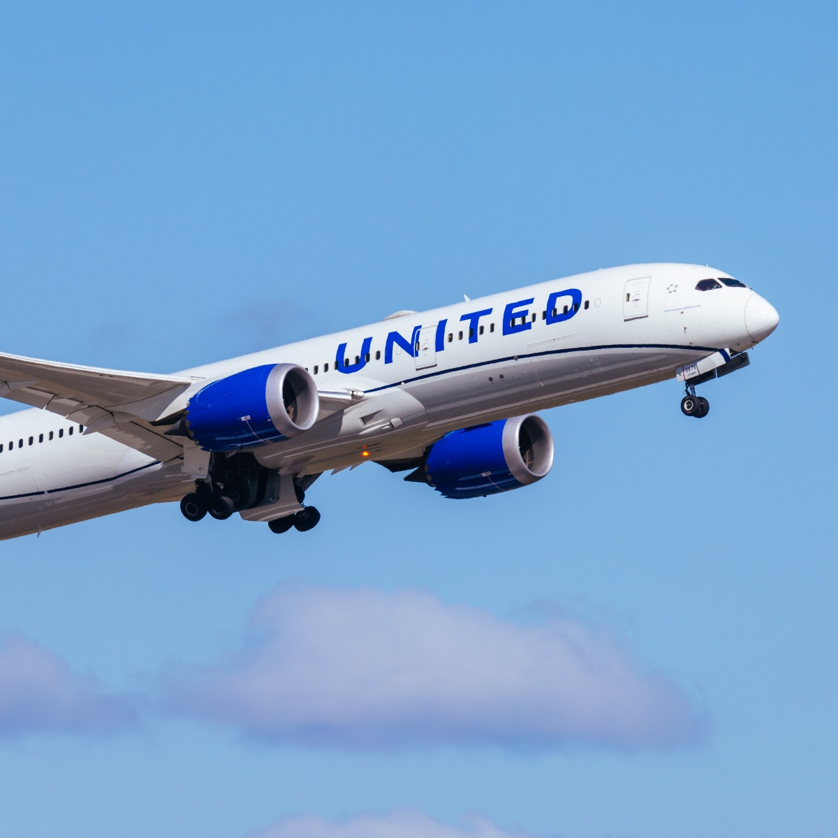 Passenger alleges man masturbated beside her on flight, crew ignored her concerns