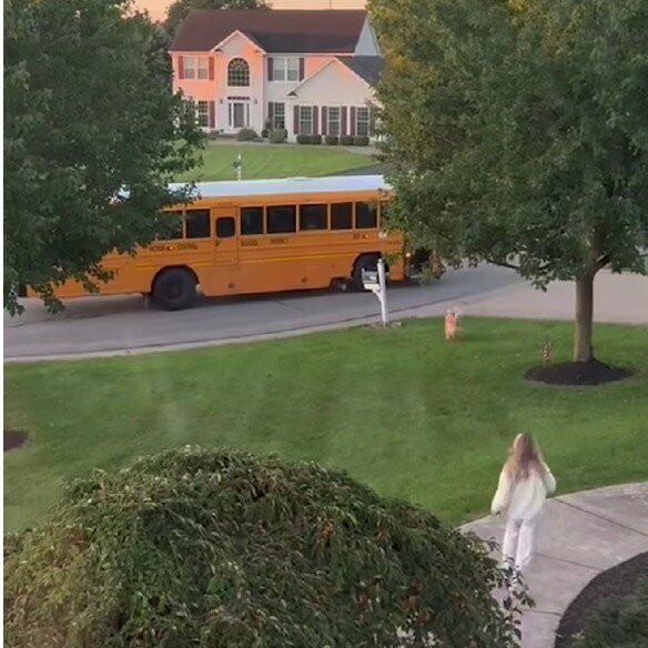 Pet dog hops onto school bus, owner races after him in her pajamas