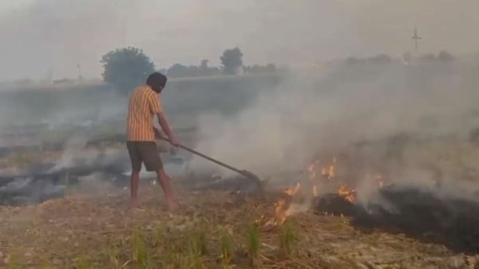 Mann directed officials to take awareness campaigns deep into villages and blocks, with the participation of NGOs, social workers, panchayats and farmers. punjab paddy stubble burning.