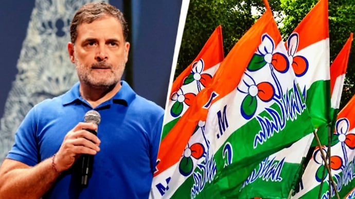 Rahul Gandhi slams ECI freezing TMC name and symbol before Bengal bypolls. (PTI Photo) Rahul Gandhi
