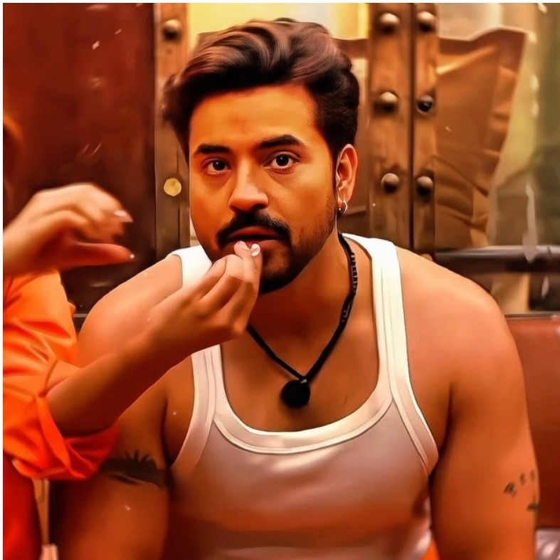 Fans see romance, Gautam Gulati sees 'priority' problem with Priyanka on Rise & Fall
