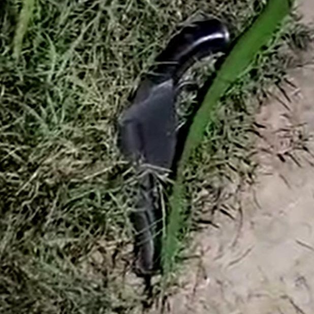 Fierce encounter between gang of robbers and cops in UP, 1 injured