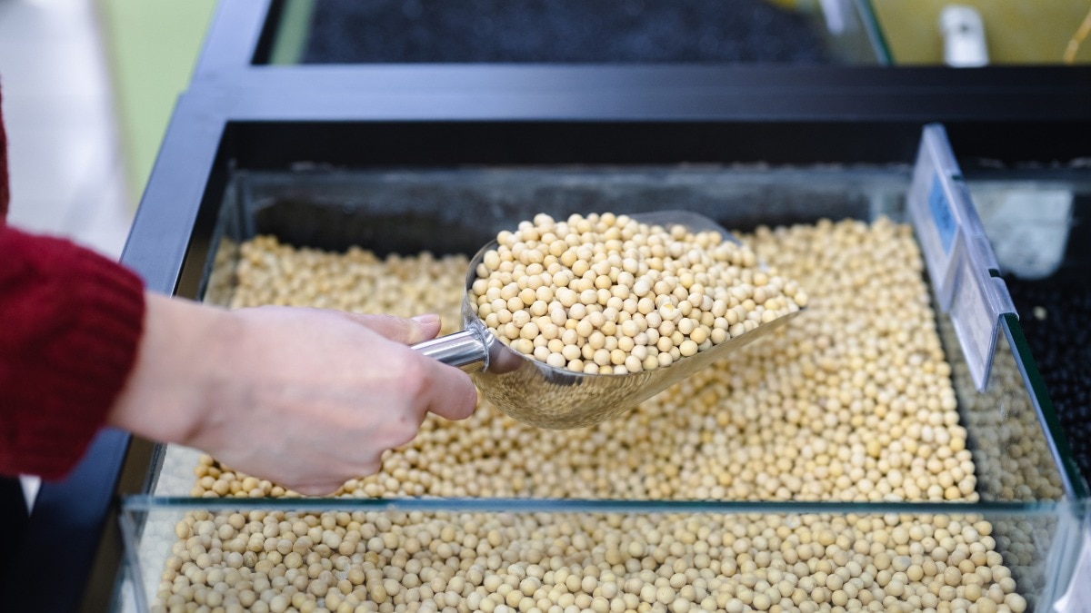 Why China left US soybeans out of its latest tariff cut list
