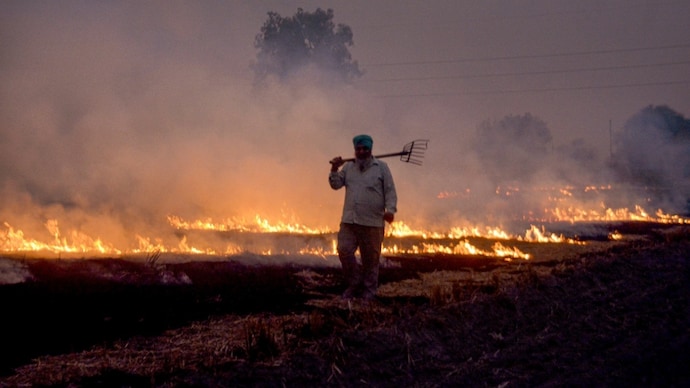 A farmer burns paddy stubble in a field, at a village in Patiala, Punjab. (Photo: PTI) Stubble burning India Punjab