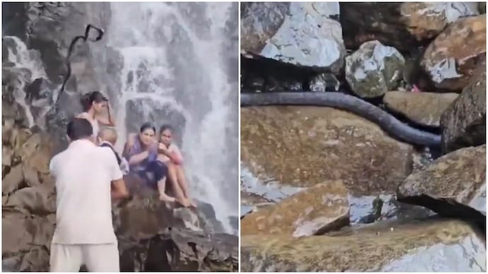 Terrifying moment snake falls on man carrying child at Maharashtra waterfall (Photos: @chicagobachi/X) Terrifying moment snake falls on man carrying child at Maharashtra waterfall