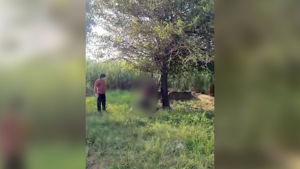 10-day-old body found hanging from tree in UP's Bijnor, police seek his identity