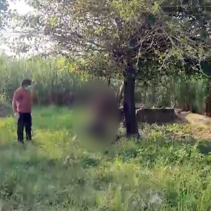 10-day-old body found hanging from tree in UP’s Bijnor, police seek his identity