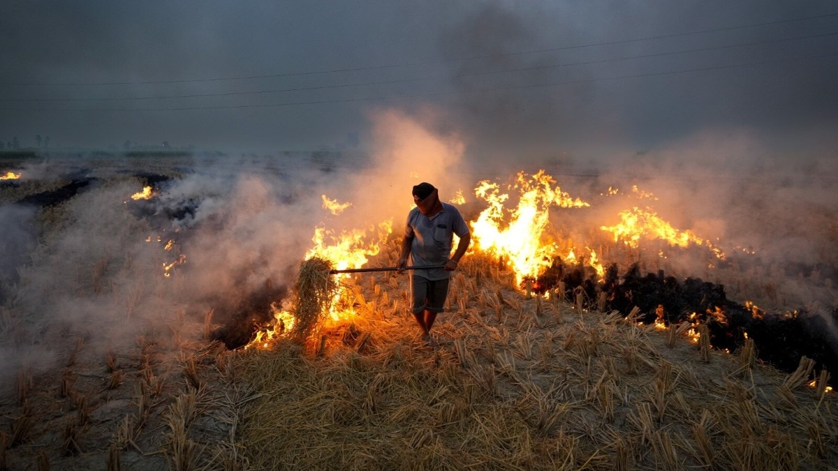 Haryana cuts stubble burning 91% as Delhi-NCR winter pollution plan sharpens