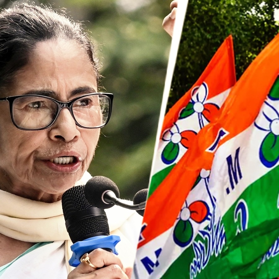 Mamata faction suggests alternative name, symbol after EC freezes TMC identity