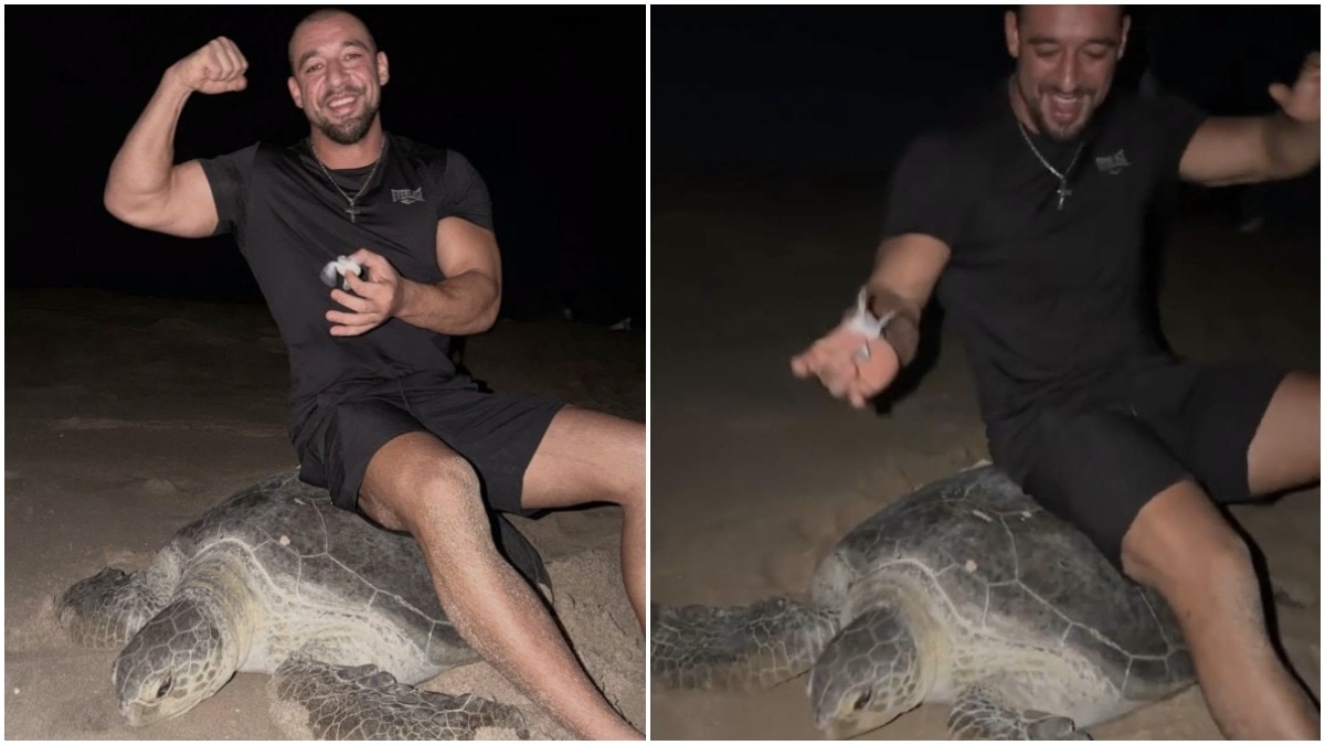 Ukrainian couple sits on sea turtle's back to record reel, video sparks outrage