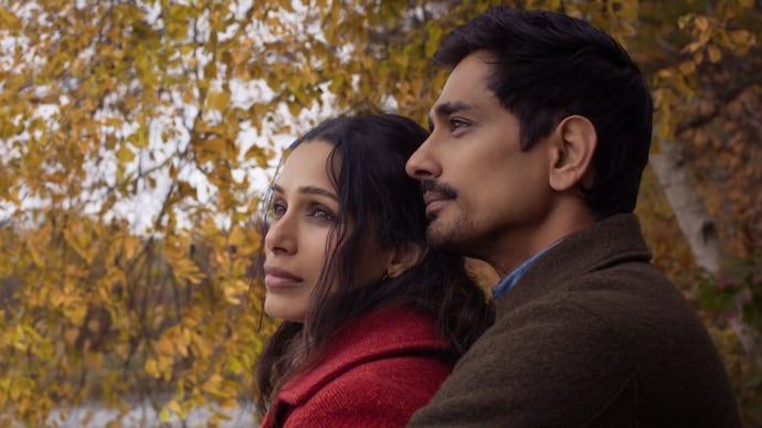 Freida Pinto and Siddharth in a still from Netflix's Unaccustomed Earth. Photo: Netflix Unaccustomed Earth, Freida Pinto, Siddharth