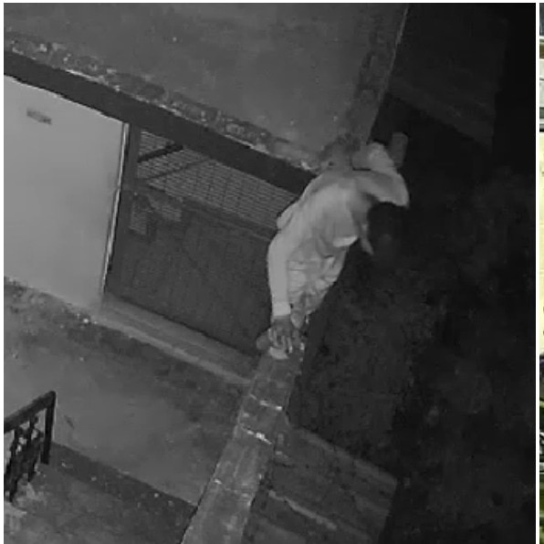 UP thief spends around 2 hours looting home as family sleeps, escape caught on CCTV