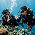What scuba diving teaches students about fear, focus, teamwork and confidence What scuba diving teaches students about fear, focus, teamwork and confidence
