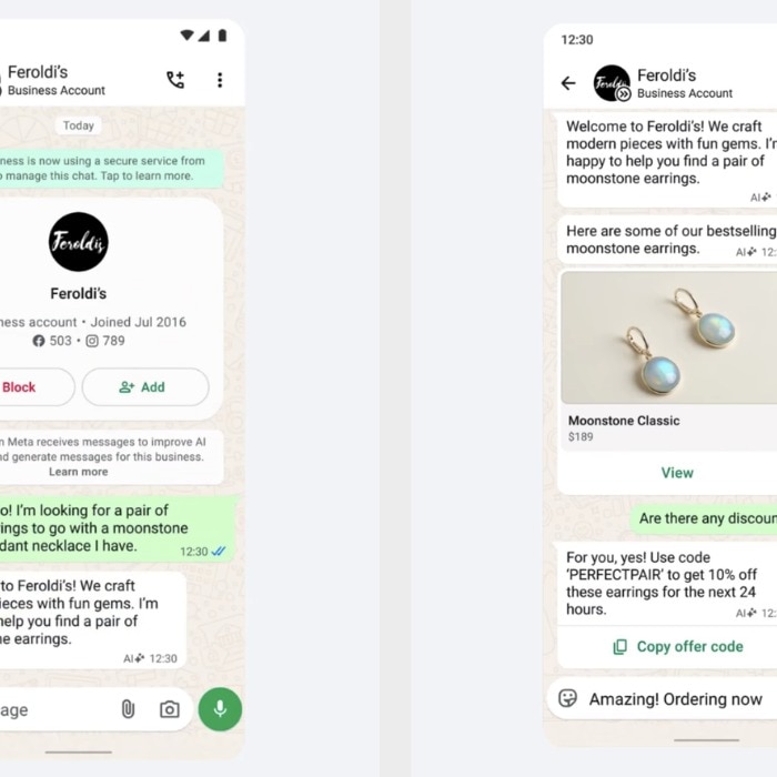 Business WhatsApp messages to cost more from October 1 in India, pricing revised