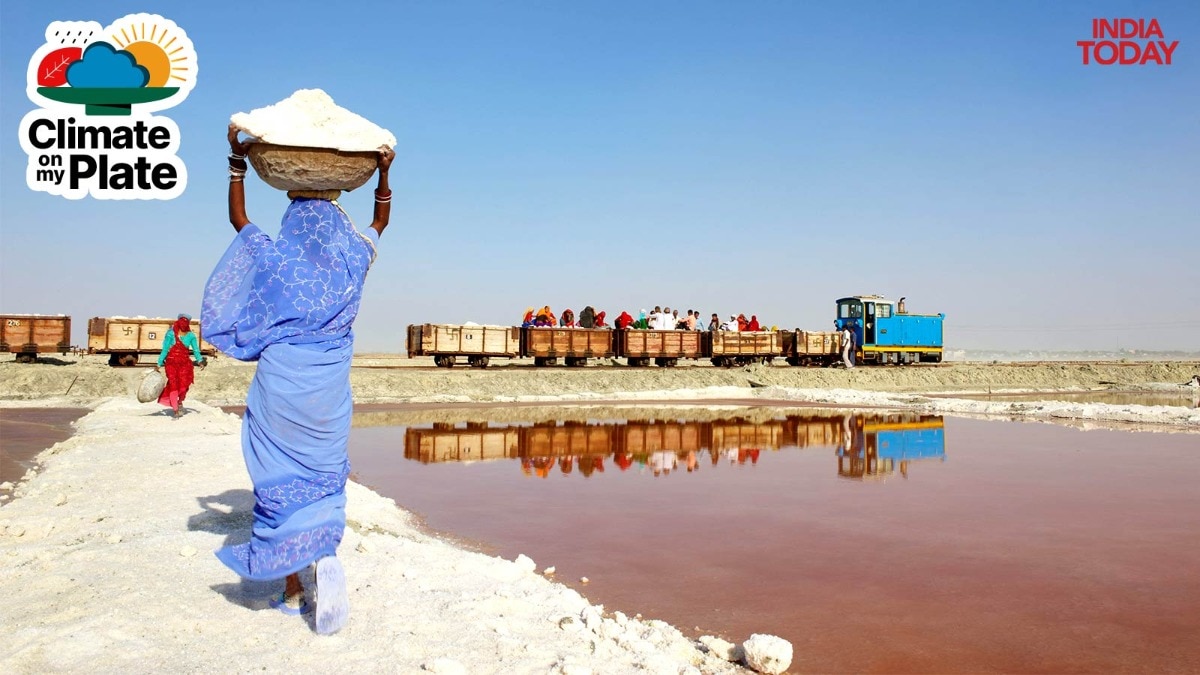 Your salt comes from the Sun: How climate change is ruining the process