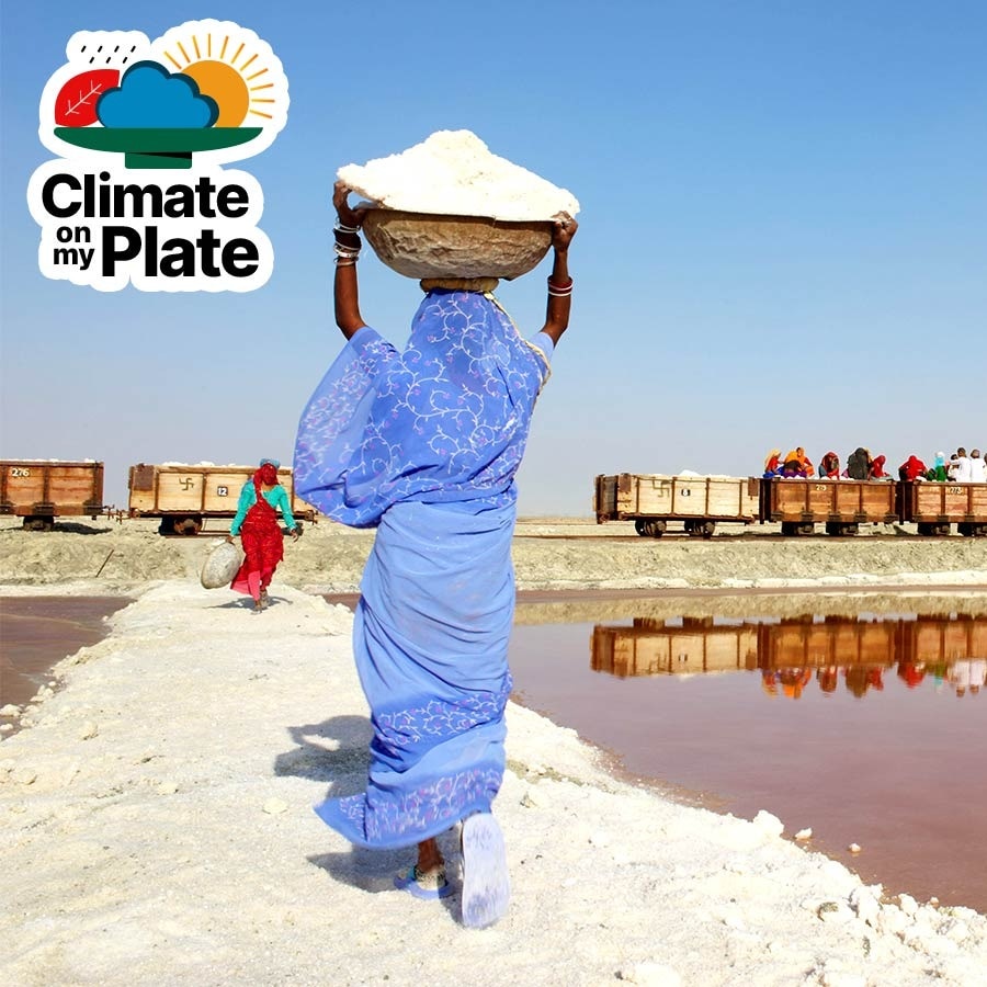 Your salt comes from the Sun. Here's how climate change is ruining the process