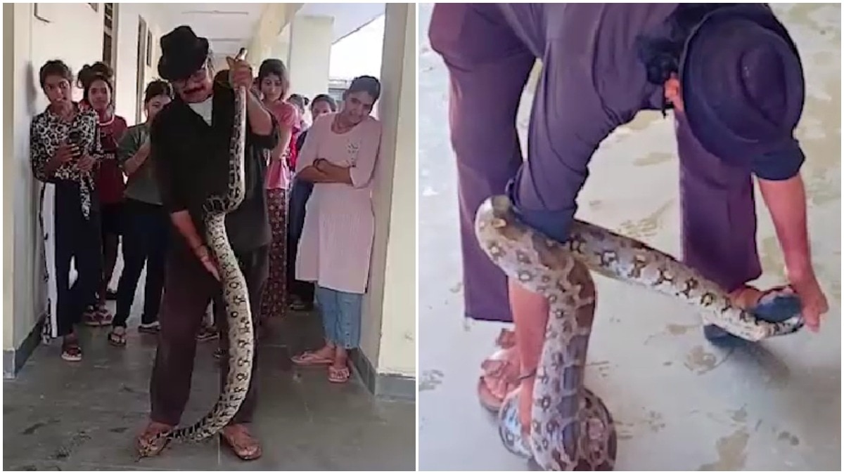 10-foot python slithers into girls' hostel bathroom in Madhya Pradesh, rescued
