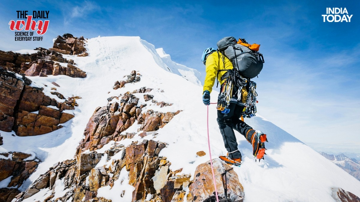 Your body leans into a hill going up and tips back coming down: The magic behind