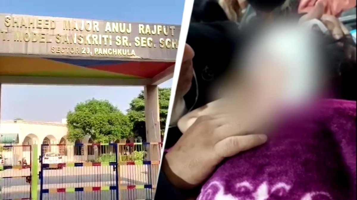 Panchkula school student assaults KG girl with stones