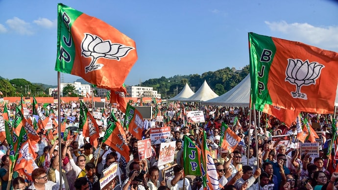 BJP workers (Representative photo) BJP workers and flags