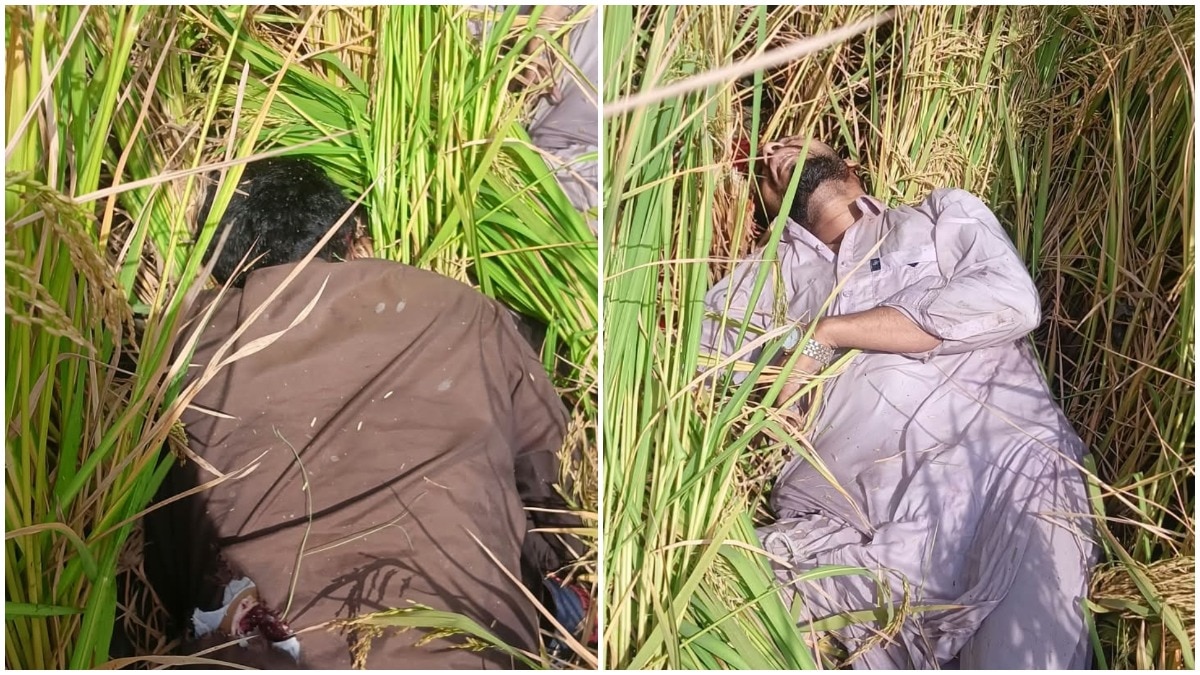 BSF shoots dead 2 suspected Pakistani intruders along Punjab border