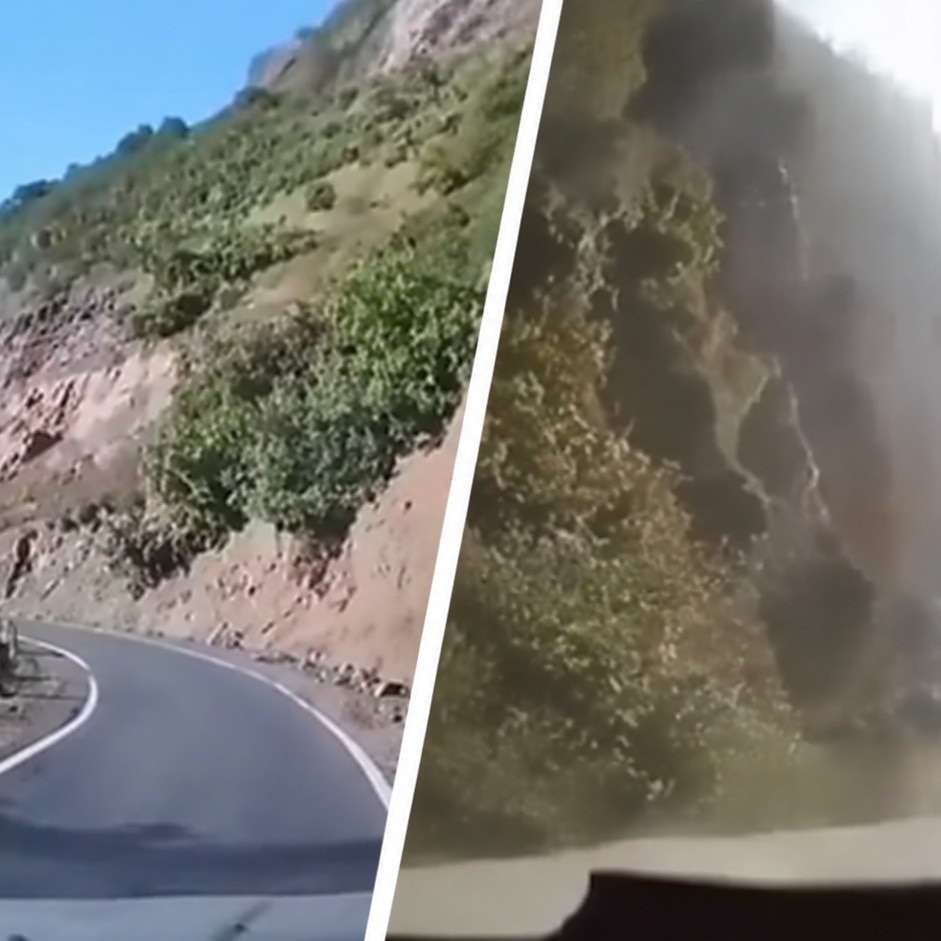 Video: Risky overtake, driver egged on to speed, then a fatal fall in Uttarakhand