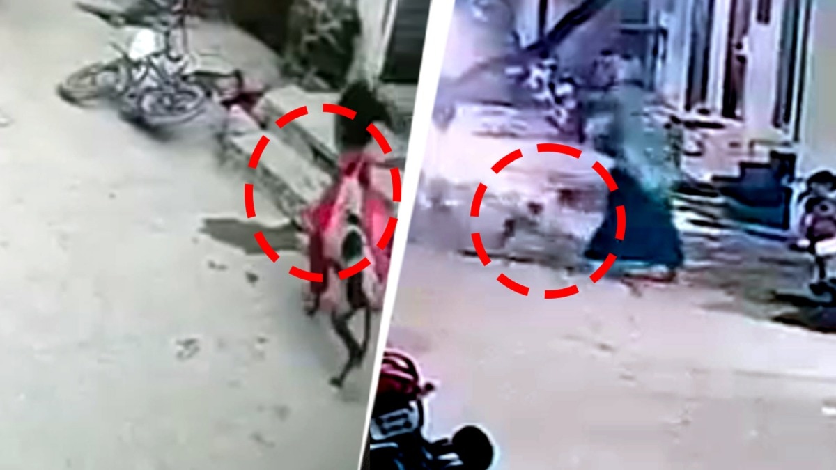 Caught on CCTV: Woman, 3 children attacked by stray dogs in Maharashtra