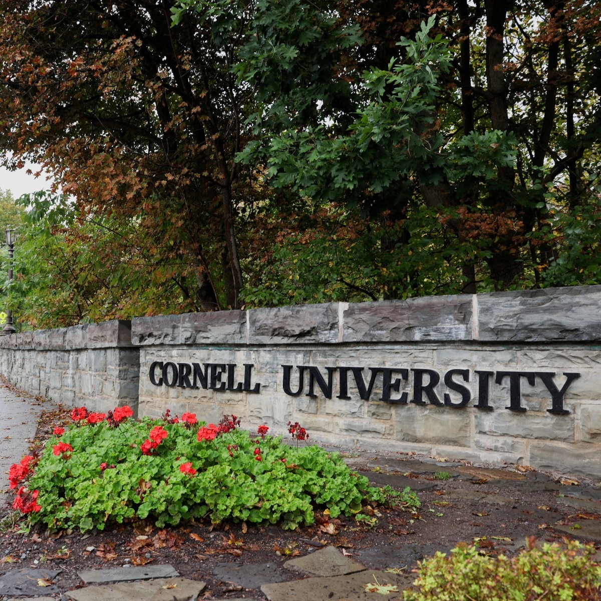 Felt like bait: Ex-Cornell student says she was raped in closet while blacking out