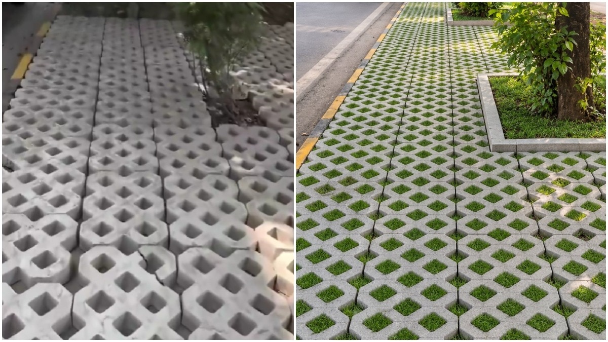 Delhi footpath that looked like a weird design choice may have an eco-friendly purpose
