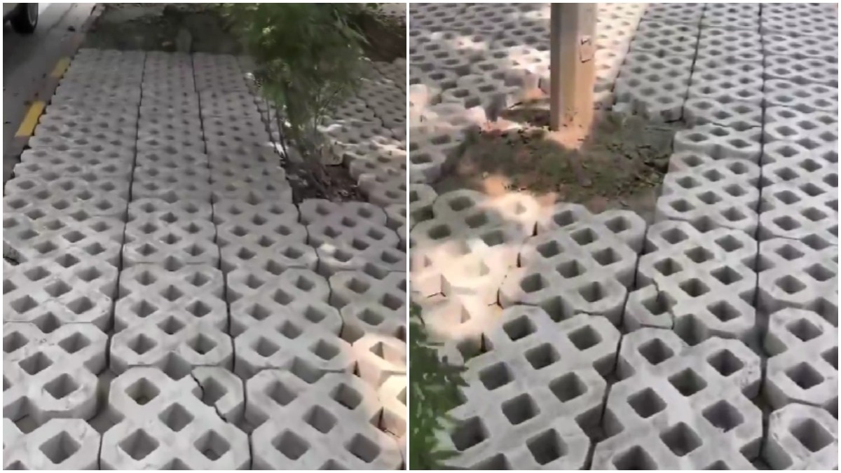 Delhi's new footpath is full of holes, and people aren't sure what to make of it