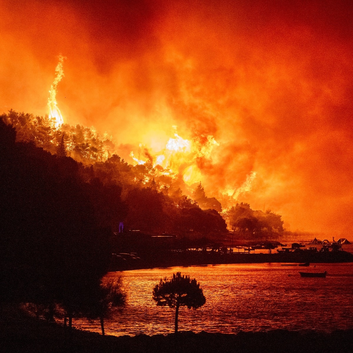 El Nino could cost the world $450 billion. India, US, China face 60% of losses: Report