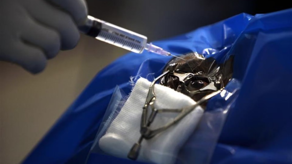 Taliban bans corneal transplants in Afghanistan citing Islamic teachings: Report