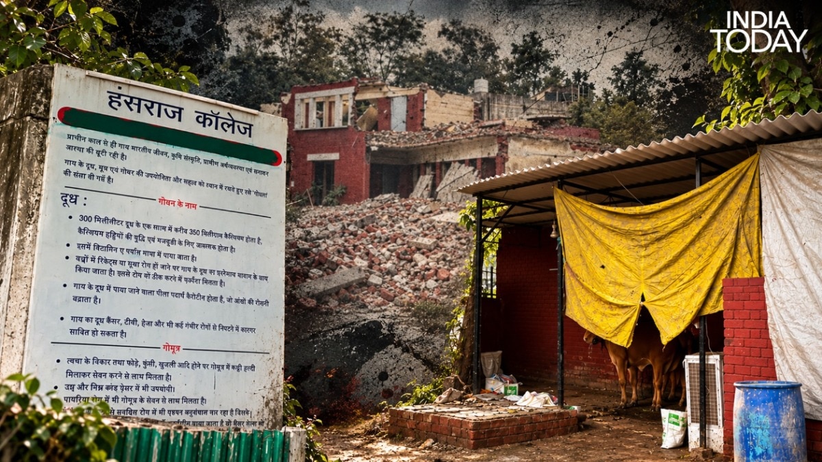 Hostel or cow shelter? What we found inside Delhi University's Hansraj college