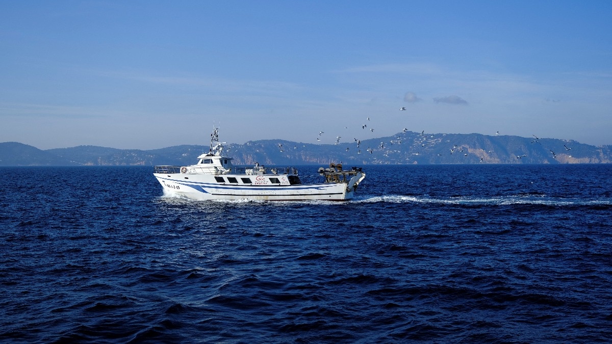 Reckless act: Saudi Arabia targeted yacht with 14 Indians, claim Houthis