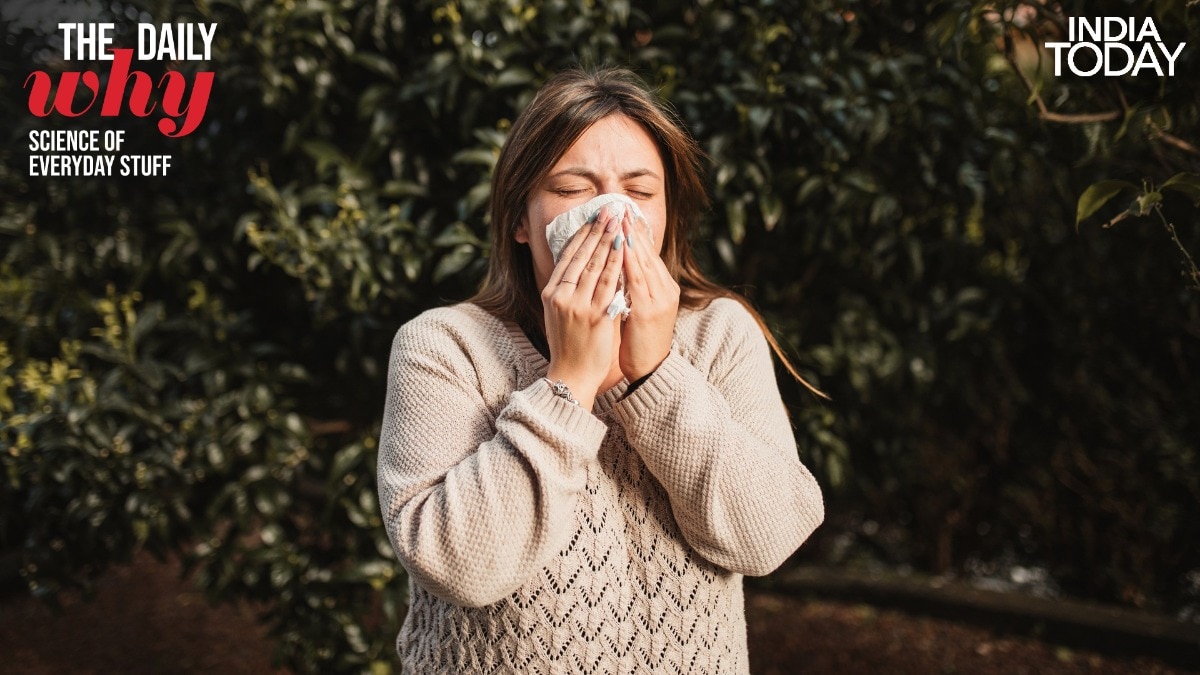 Why Do Your Eyes Close Every Time You Sneeze?