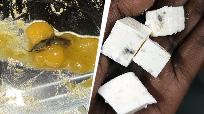 Students alleged that they have found insects, hair, rat droppings and even a scorpion in the food during this period. Insects and scorpion found at LucknowInsects and scorpion found at Lucknow University hostel food, students protestsity hostel food, students protest