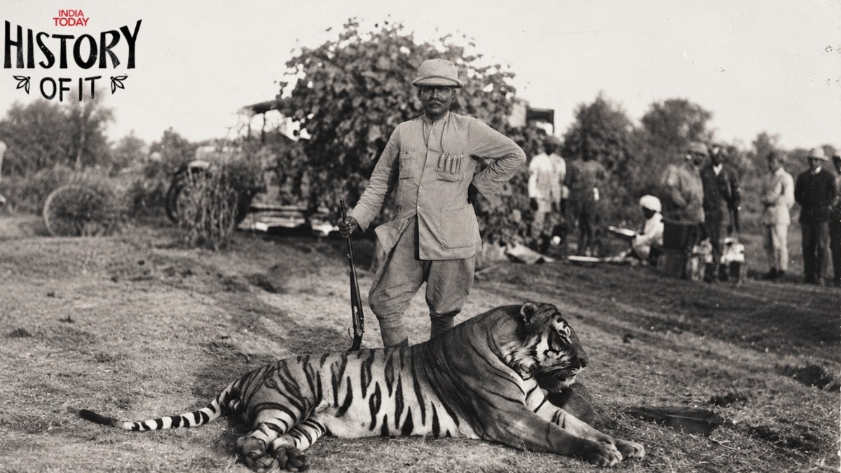 Shoot a tiger for Rs 150: How Indian govt wooed the world to hunt in India