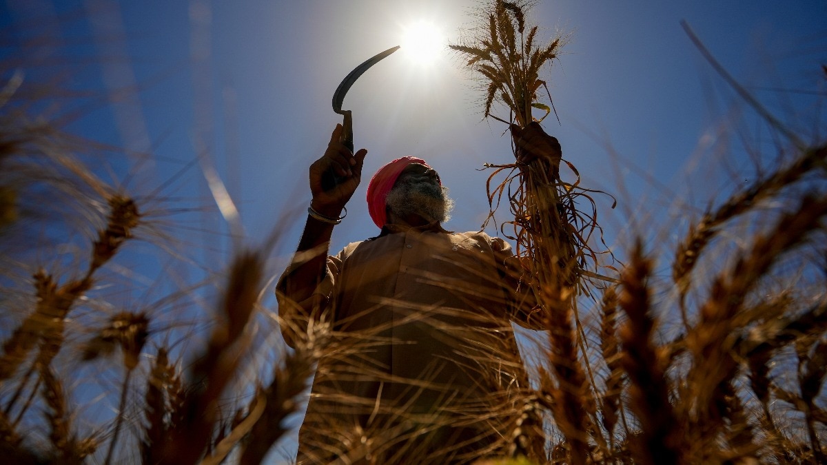 Microsoft gives weather forecasts a glow-up: Could it help Indian farmers?