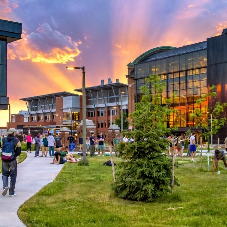Why is an IIT professor teaching in Montana: A question that backfired spectacularly