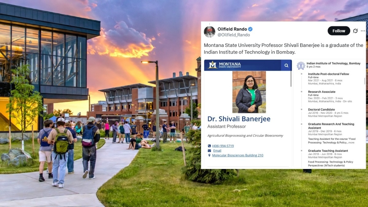 An IIT professor is teaching in Montana: X post that backfired spectacularly