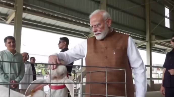 PM in Gujarat