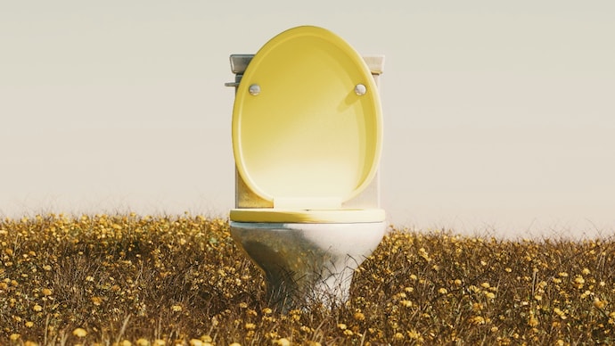 Pooping has now become a full blown discussion (Photo: Unsplash) Pooping has now become a full blown discussion