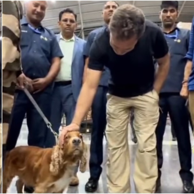 Rahul Gandhi pauses to say hello to sniffer dog at airport. It's adorable