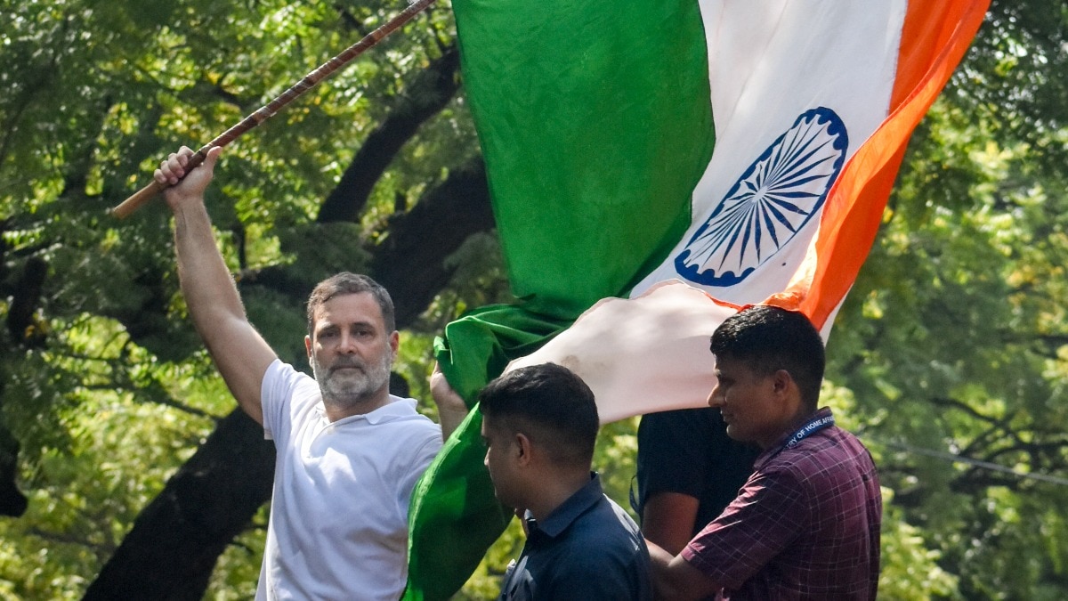 We are not only going to counter but destroy them: Rahul Gandhi to BJP during INDIA bloc protest